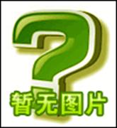 大卫·埃尔伯特