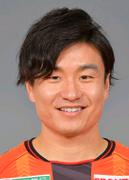 安在和树